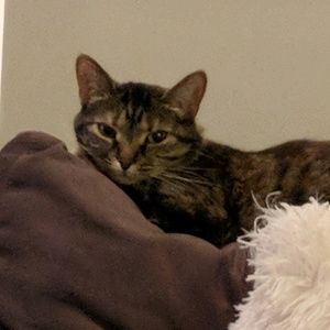 Meet your Posher, Alicia